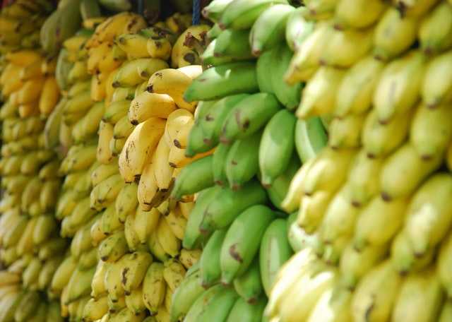 様々な種類のバナナの写真