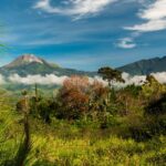 ダバオのアポ山の風景