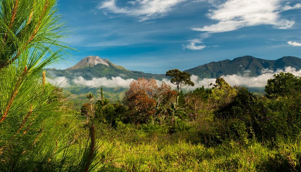 ダバオのアポ山の風景